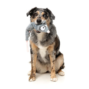 Hond speelt met FuzzYard Yeetz Rack Off Rat – pluche hondenspeeltje in de vorm van een rat met geborduurd gezicht, verzwaarde bal in de kop en lang, vullingloos lichaam, ideaal apporteerspeelgoed om te slingeren, gooien en spelen voor honden