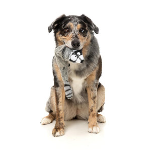 Hond speelt met FuzzYard Yeetz Run Along Raccoon – pluche hondenspeeltje in de vorm van een wasbeer met verzwaarde bal en vullingloos lichaam