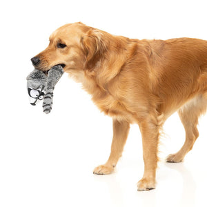 Hond loopt met FuzzYard Yeetz Run Along Raccoon – pluche hondenspeeltje in de vorm van een wasbeer met verzwaarde bal en vullingloos lichaam