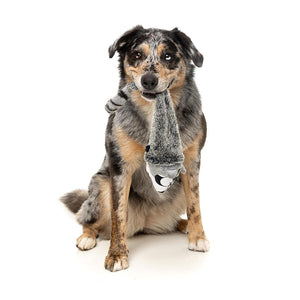 Hond speelt met FuzzYard Yeetz Run Along Raccoon – pluche hondenspeeltje in de vorm van een wasbeer met verzwaarde bal en vullingloos lichaam