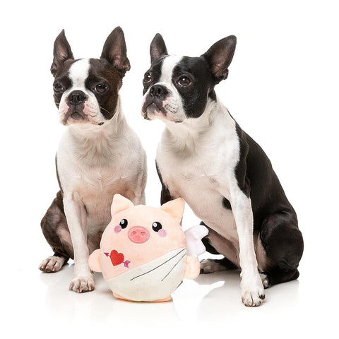 FuzzYard Valentine’s Cu-Pig – pluche Valentijns hondenspeeltje met pieper en engelenvleugels