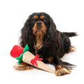 FuzzYard Valentine’s Wrapped Rose – pluche hondenspeeltje in romantisch roosdesign voor Valentijn