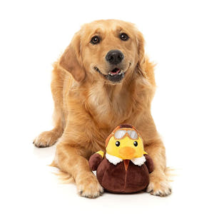 Golden Retriever ligt met FuzzYard Waddle Squad-dle Amelia Quackhart – pluche hondenspeeltje in de vorm van een gele eend verkleed als piloot, met vintage bruine vliegjas, witte bontkraag en pilotenbril, knuffelspeelgoed voor honden