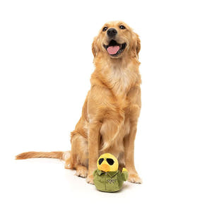 Golden Retriever poseert met FuzzYard Waddle Squad-dle Goose – pluche hondenspeeltje in de vorm van een gele badeend, verkleed als piloot met een groene jas, zwarte zonnebril en een ster-embleem, knuffelspeelgoed voor honden