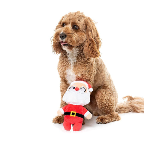 Hond zit met een pluche kerstman als hondenspeeltje tussen de voorpoten