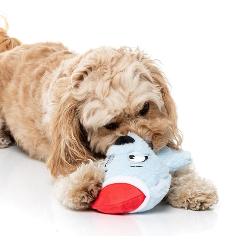 Hond speelt liggend met een lichtblauwe pluche ijsbeer als hondenspeeltje