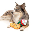 FuzzYard Cookie Kringle Puppuccino & Cookies - Puppy Village.nl