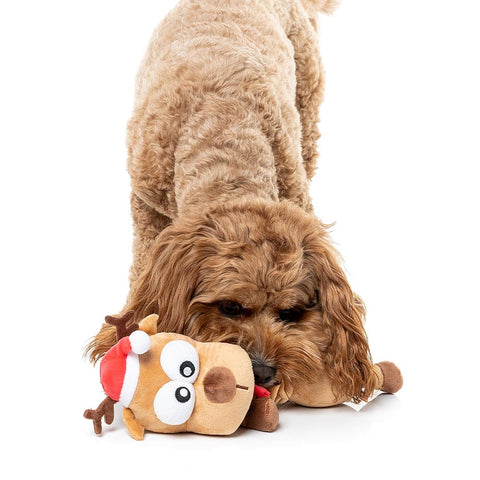 Hond speelt met een liggend pluche rendier als hondenspeeltje