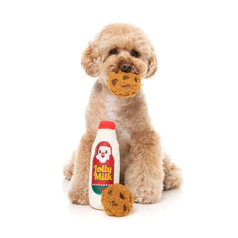 Kleine hond speelt met FuzzYard Jolly Milk & Cookies – kerst hondenspeelgoed met melkfles en koekjes