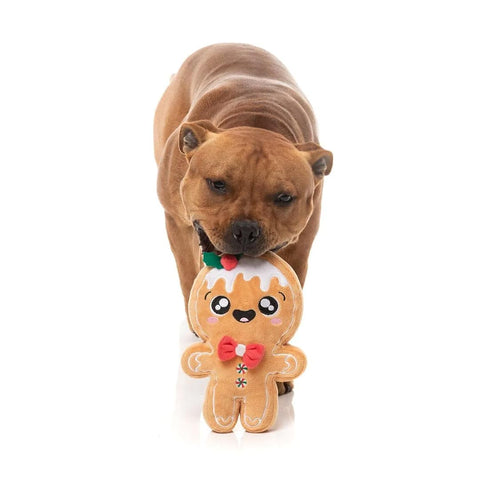 FuzzYard Xmas Mistle-Dough