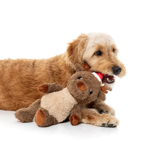 Hond ligt naast een bruin pluche rendier als hondenspeeltje met kerstmuts