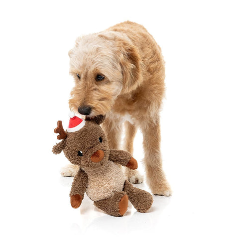 Hond speelt met een bruin pluche rendier als hondenspeeltje met kerstmuts