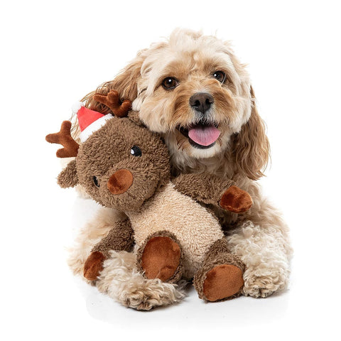 Hond ligt achter een bruin pluche rendier als hondenspeeltje
