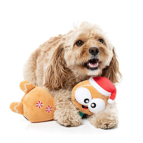 Hond ligt met een pluche peperkoekfiguur als hondenspeeltje tussen de voorpoten