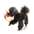 Hond speelt met FuzzYard Ham a Merry Pigmas – grappig pluche kerst hondenspeeltje met pieper