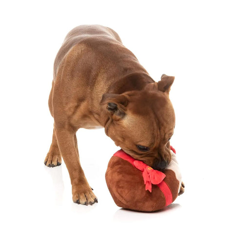 FuzzYard Merry Puddin' – kerst hondenspeelgoed, lichte hond spelend en kauwend op zachte pluche pudding met pieper