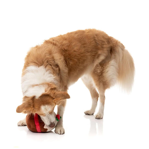 FuzzYard Merry Puddin' – zachte pluche kerst hondenspeeltje in puddingvorm, hond speelt met FuzzYard Xmas speelgoed