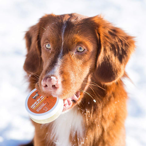 HOWND Hemp Skin, Nose & Paw Balm – vegan balsem met SPF voor poten, neus en oren, beschermt tegen kou, ijs en strooizout