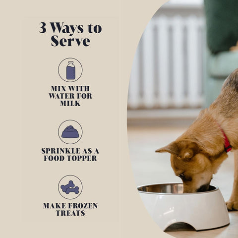 Manieren om Hackney Dog House – Geitenmelk (Kalmerend & Ontspannend) te gebruiken – mix met water, strooi als topper of maak er verkoelende frozen treats van