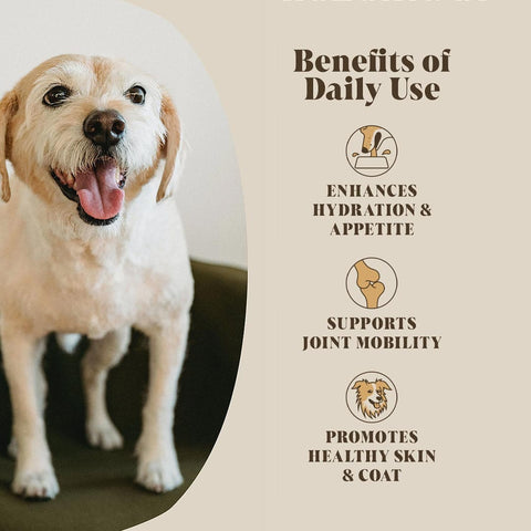 Hackney Dog House Chicken Bone Broth – serveertips: mix met water als bouillon of strooi als topper over voer