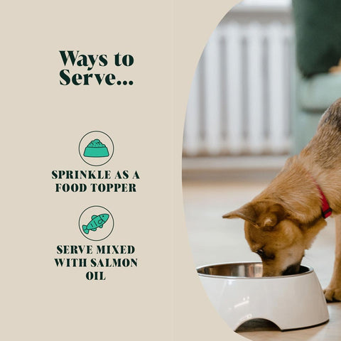 Hackney Dog House Groenlipmossel – serveersuggesties voor honden: als topping of gemengd met zalmolie