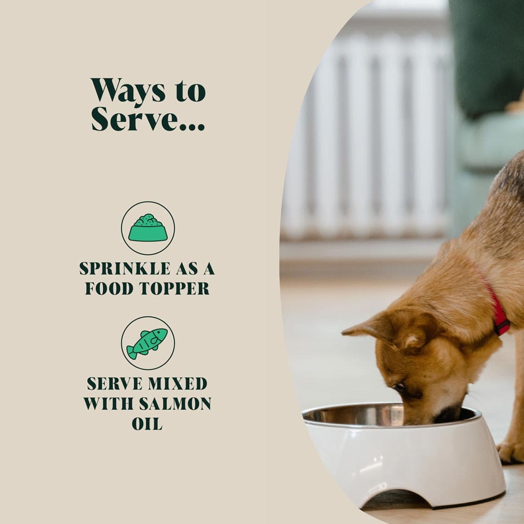 Hackney Dog House Herbal Flea & Tick – gebruik als food topper of mengen met zalmolie voor honden