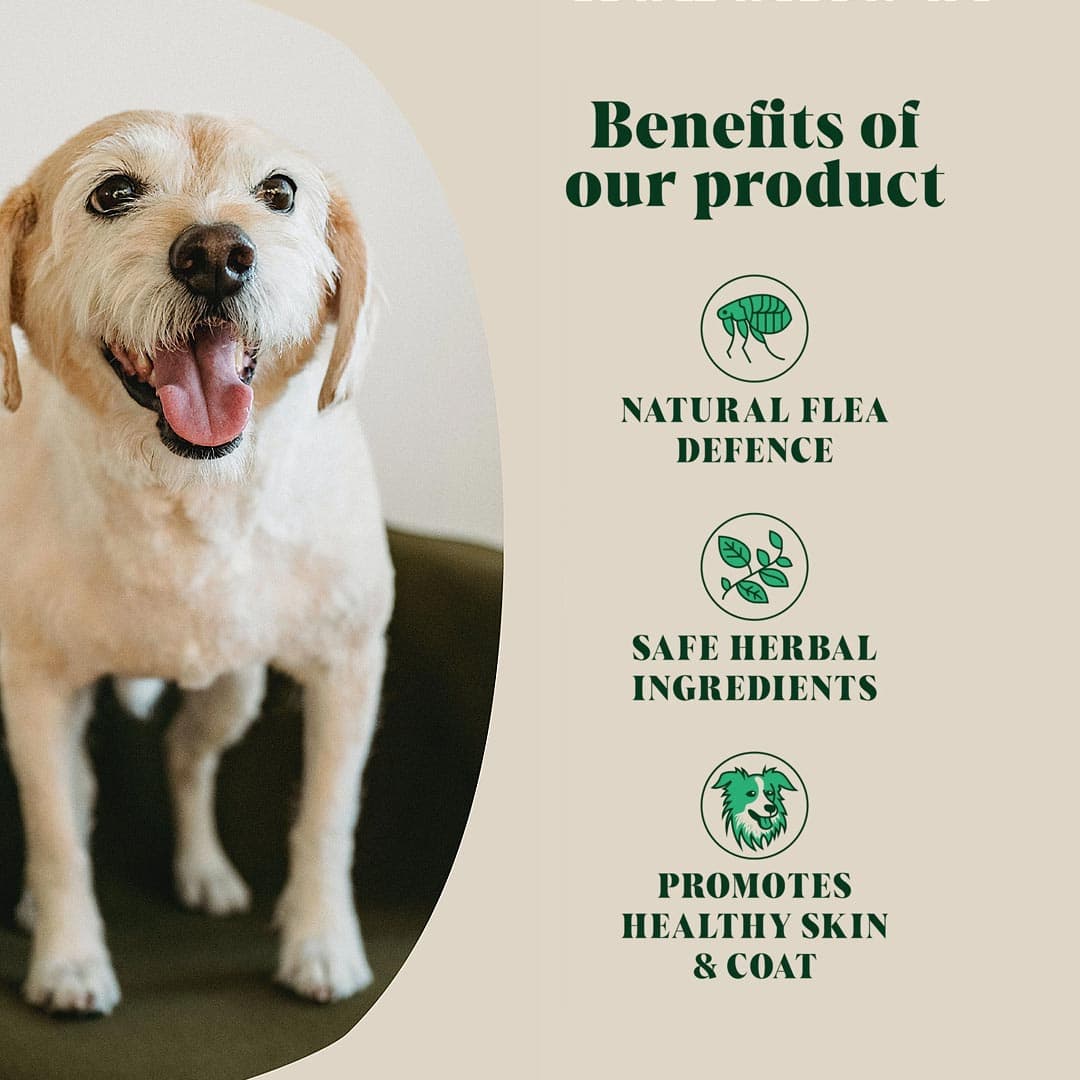 Hackney Dog House Herbal Flea & Tick – natuurlijke bescherming tegen vlooien en teken, veilige kruidenmix, ondersteunt huid en vacht