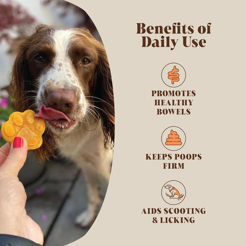 Hackney Dog House Pompoenpuree – ondersteunt stoelgang, gezonde darmen en vermindert sleetje rijden