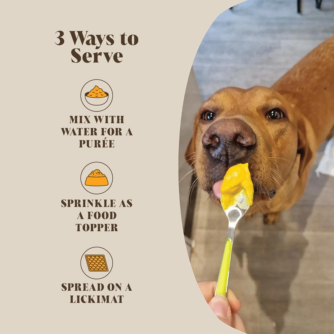 Gebruik Hackney Dog House Pompoen & Probiotica – mix met water tot puree, strooi als topping of smeer op een likmat voor honden