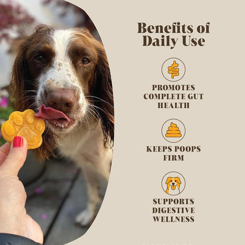 Hackney Dog House Pompoen & Probiotica – ondersteunt darmgezondheid, stevige ontlasting en spijsvertering bij dagelijks gebruik