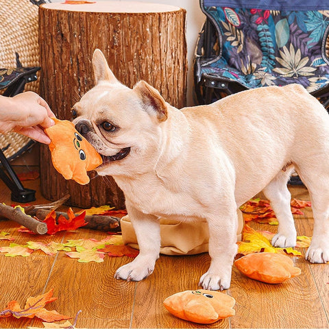 HugSmart Autumn Tailz – Leaf Bag - Puppy Village.nl