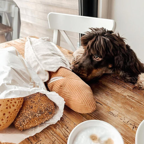 Lambwolf Collective Baguette – Snuffle + Squeaky