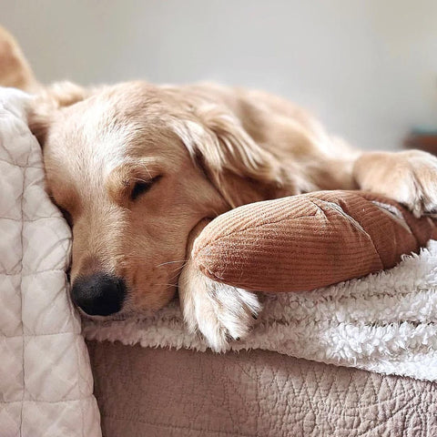 Lambwolf Collective Baguette – Snuffle + Squeaky