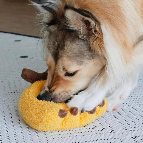 Lambwolf Collective Banana