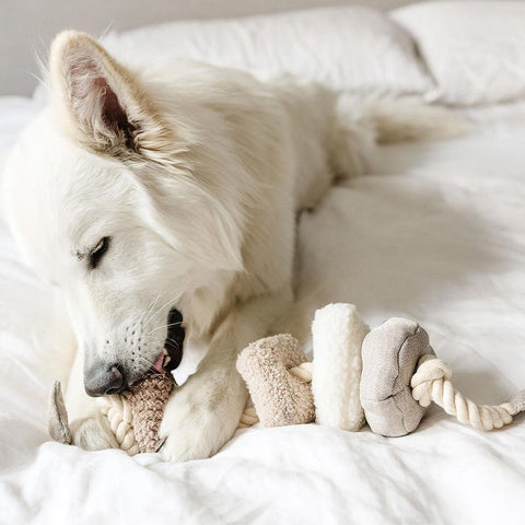 Lambwolf Collective BLOCS – Snuffle + Squeaky