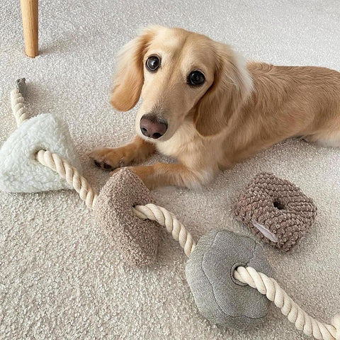 Lambwolf Collective BLOCS – Snuffle + Squeaky