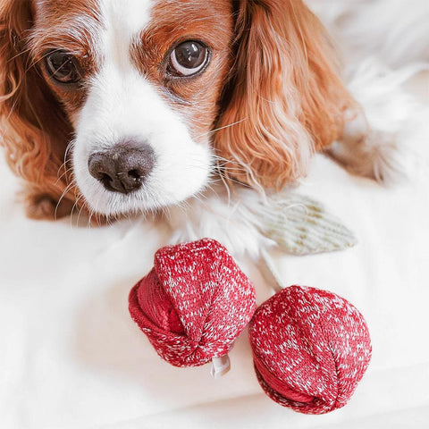 Lambwolf Collective Cherry POP – Bouncy + Snuffle