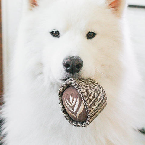 Lambwolf Collective Latte POP – Squeaky + Snuffle