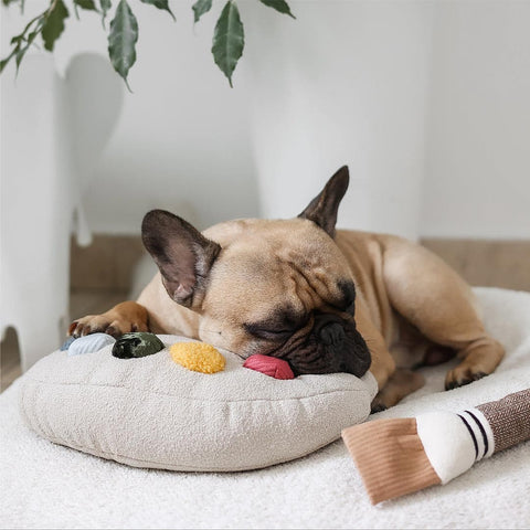 Lambwolf Collective Color Palette – Cushion + Squeaky