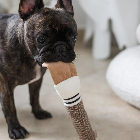 Lambwolf Collective Color Palette – Cushion + Squeaky