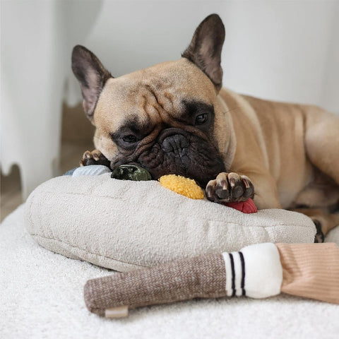 Lambwolf Collective Color Palette – Cushion + Squeaky