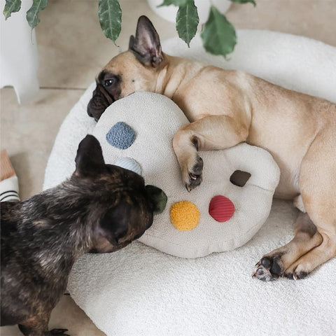 Lambwolf Collective Color Palette – Cushion + Squeaky