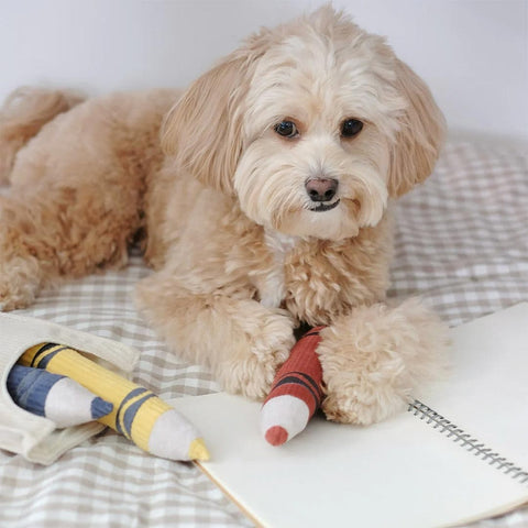 Lambwolf Collective Crayons – Burrow + Snuffle