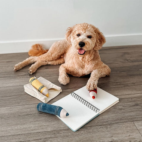 Lambwolf Collective Crayons – Burrow + Snuffle