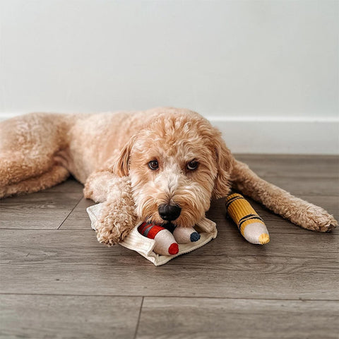 Lambwolf Collective Crayons – Burrow + Snuffle