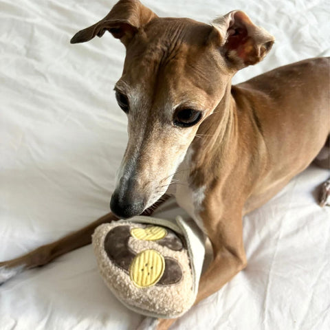 Lambwolf Collective Crêpe – Snuffle + Squeaky