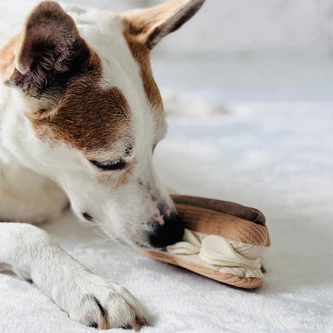 Lambwolf Collective Éclair – Snuffle + Nosework