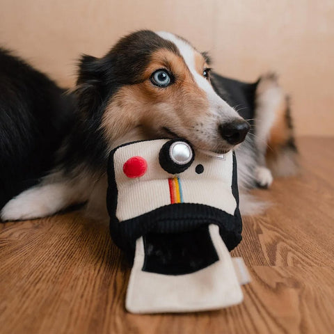 Lambwolf Collective Instant Camera – Snuffle + Squeaky