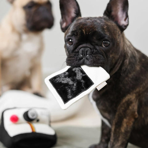 Lambwolf Collective Instant Camera – Snuffle + Squeaky