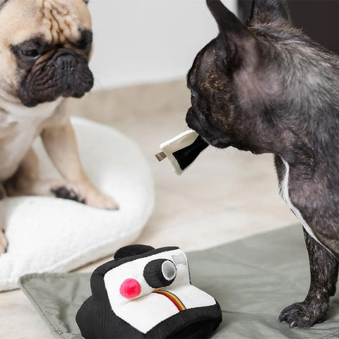 Lambwolf Collective Instant Camera – Snuffle + Squeaky